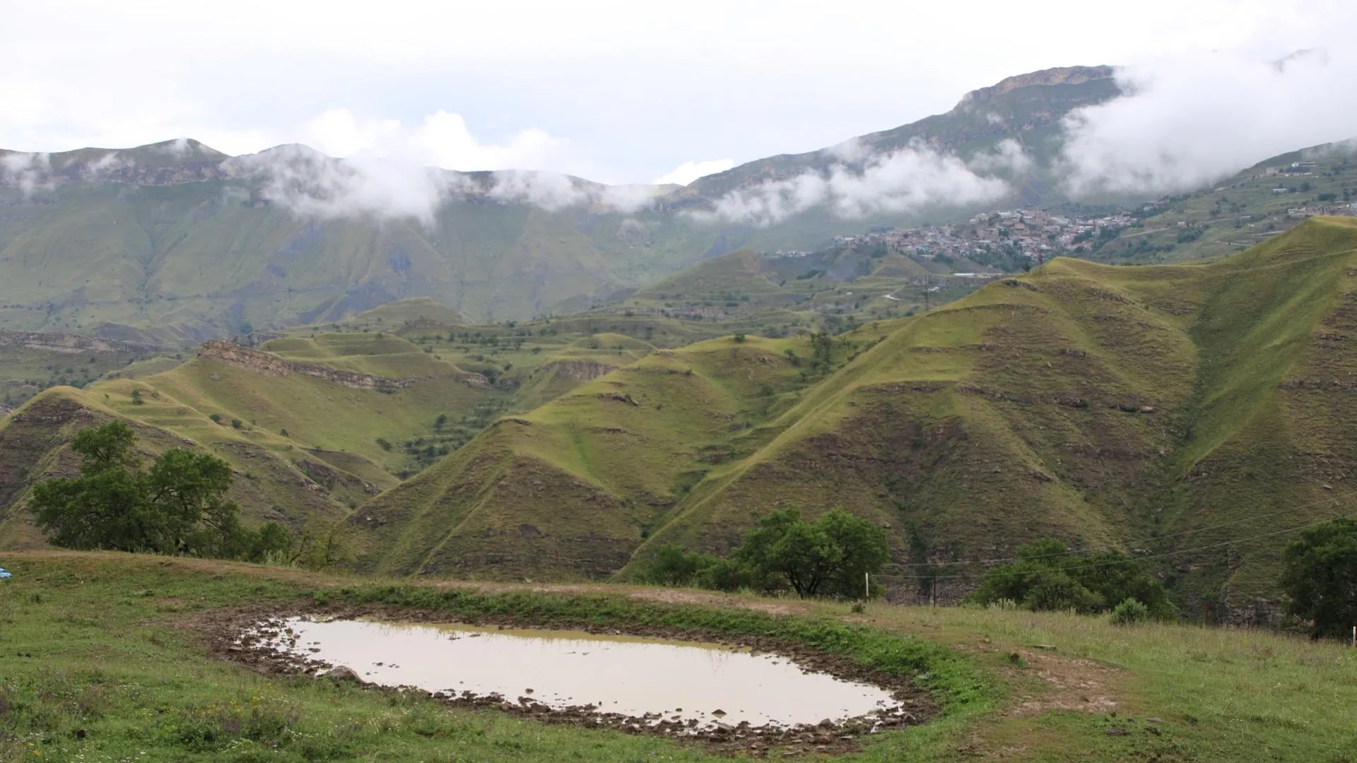 Maksim Konstantinov/Global Look Press