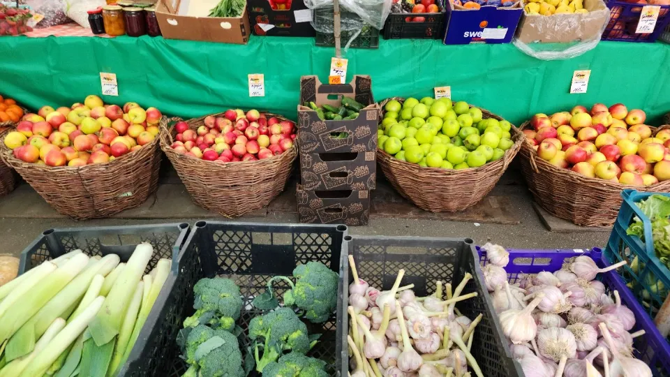 Фото: МедиаБанк Подмосковья/Хавива Фонина