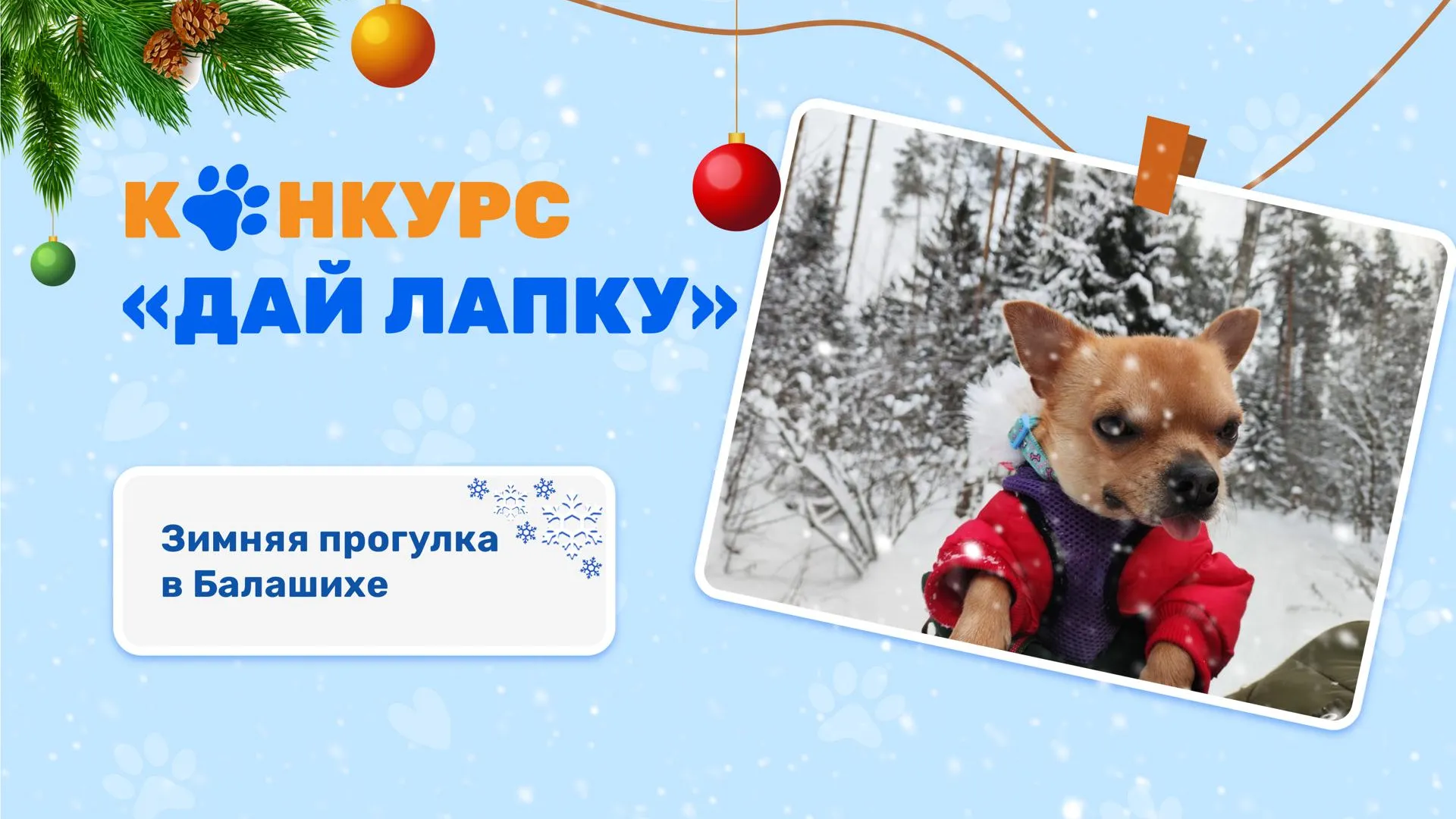 МосОблЕИРЦ