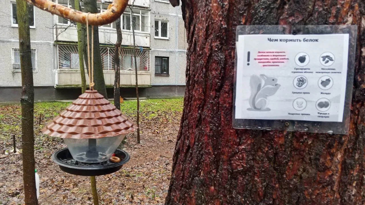 Фото: REGIONS/Василий Тремасов