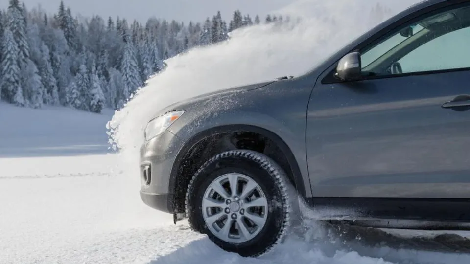 REGIONS/Сгенерировано нейросетью