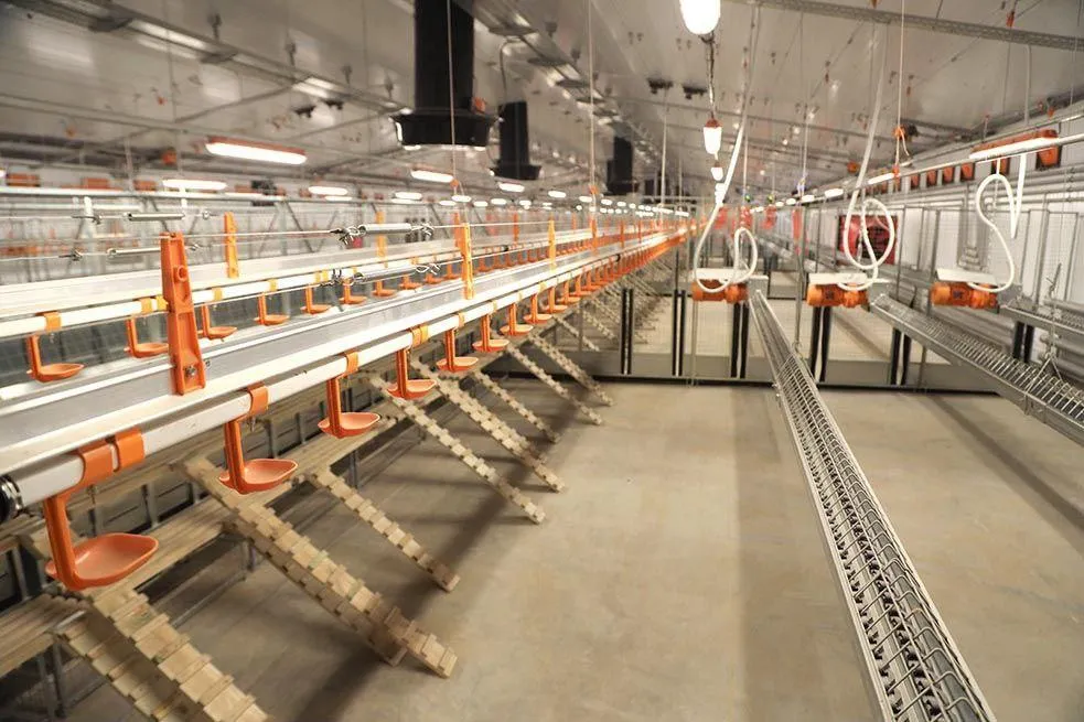 Администрация Сергиево-Посадского городского округа