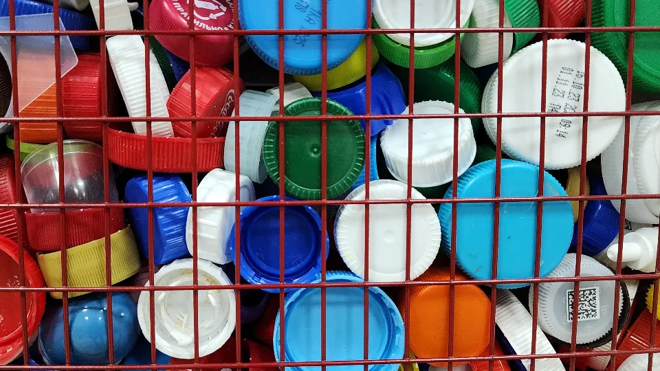 Фото: МедиаБанк Подмосковья/Ксения Пашуто