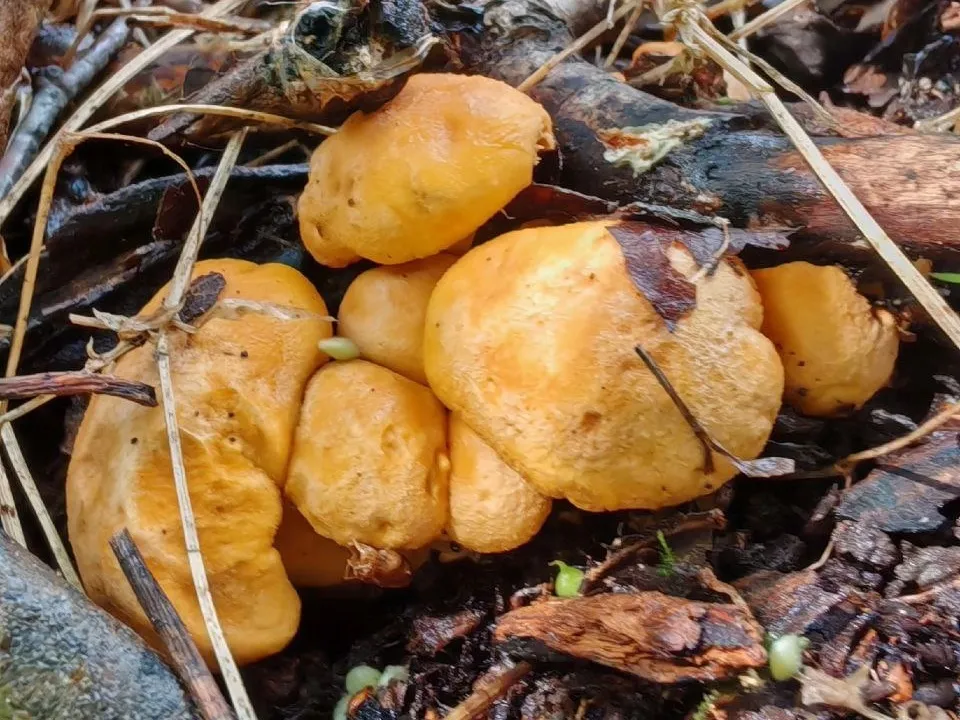 Фото: Константин Кошелев