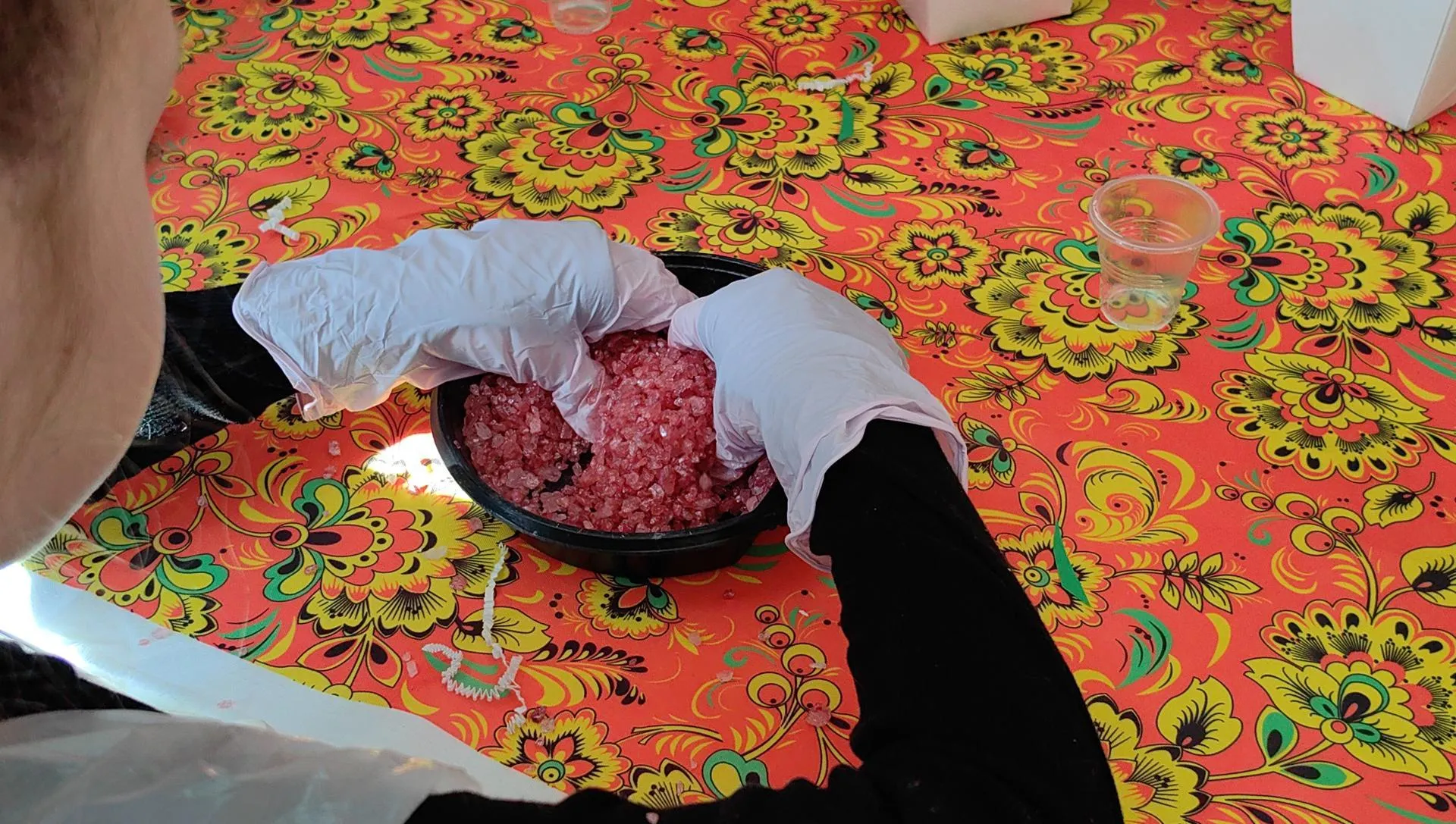 Елена Катасонова