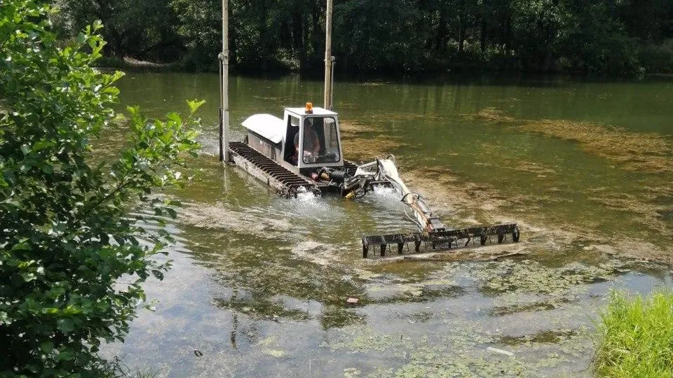 Фото: администрация м. о. Чехов