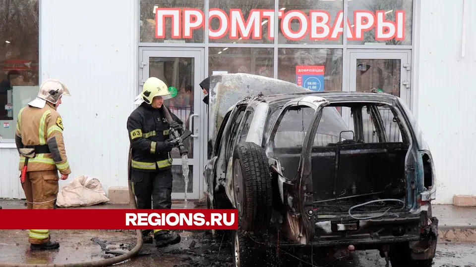 Фото: REGIONS/Василий Тремасов