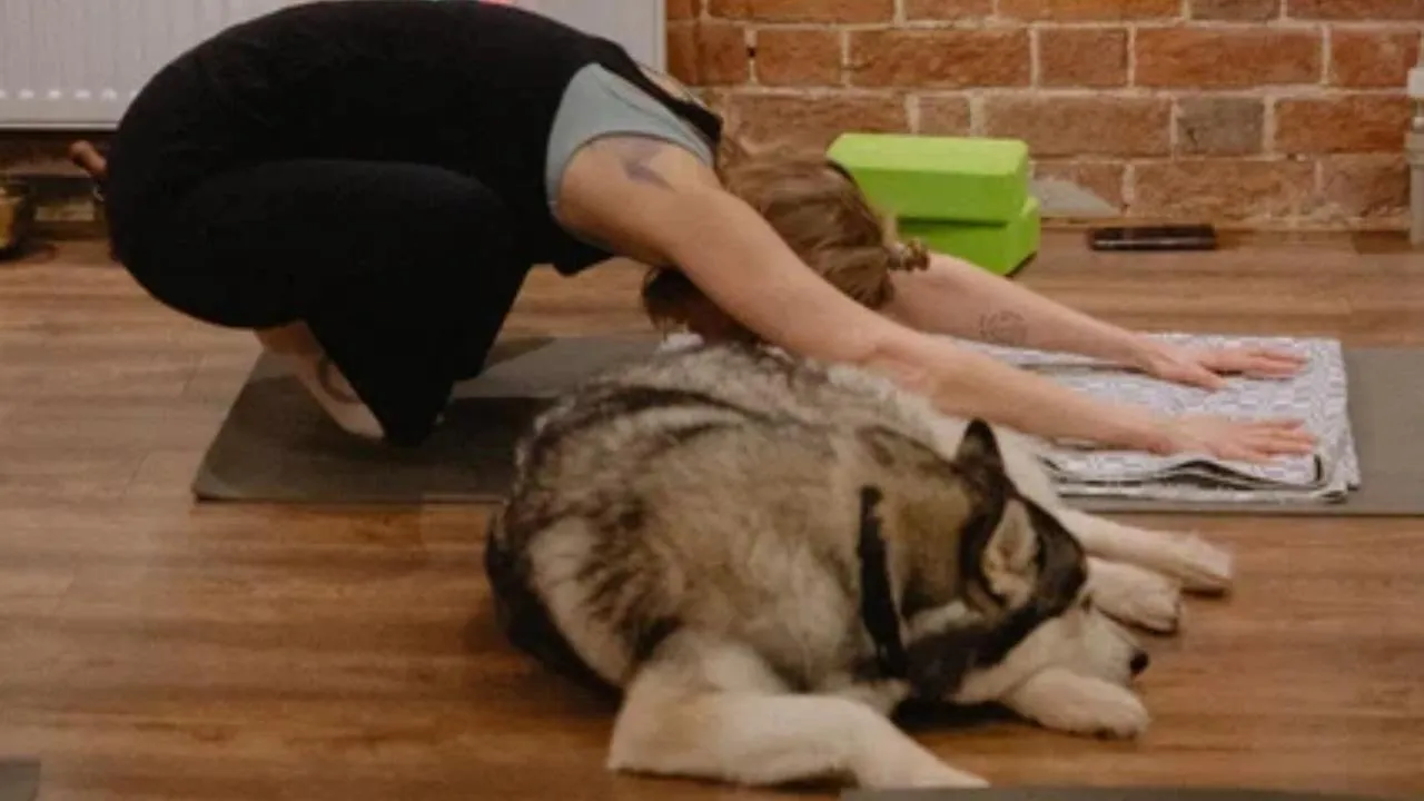 Эрнест Заведеев