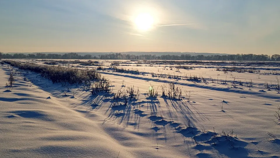 Фото: REGIONS/Алексей Селиверстов