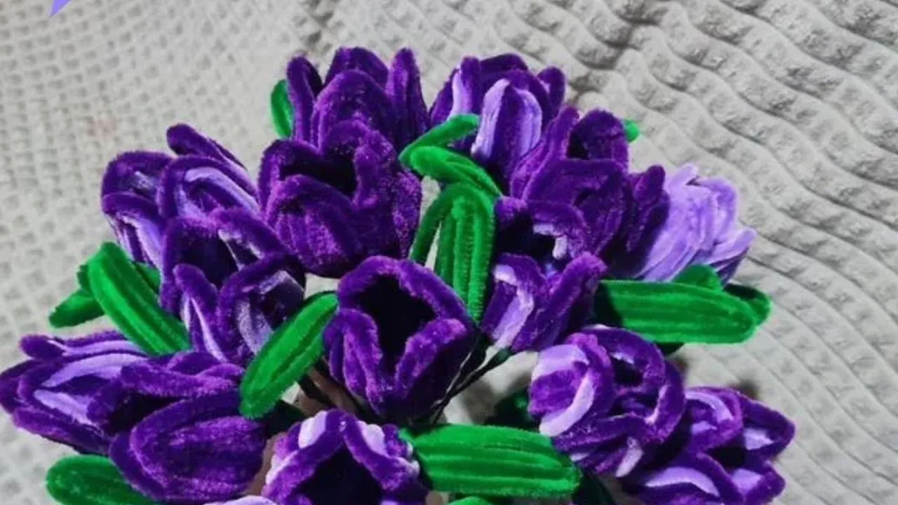 Екатерина Новикова