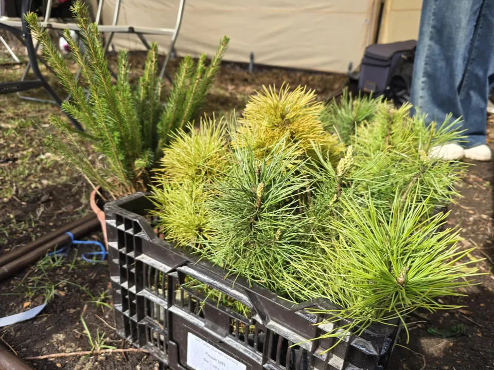 Фото: Марина Анисимова