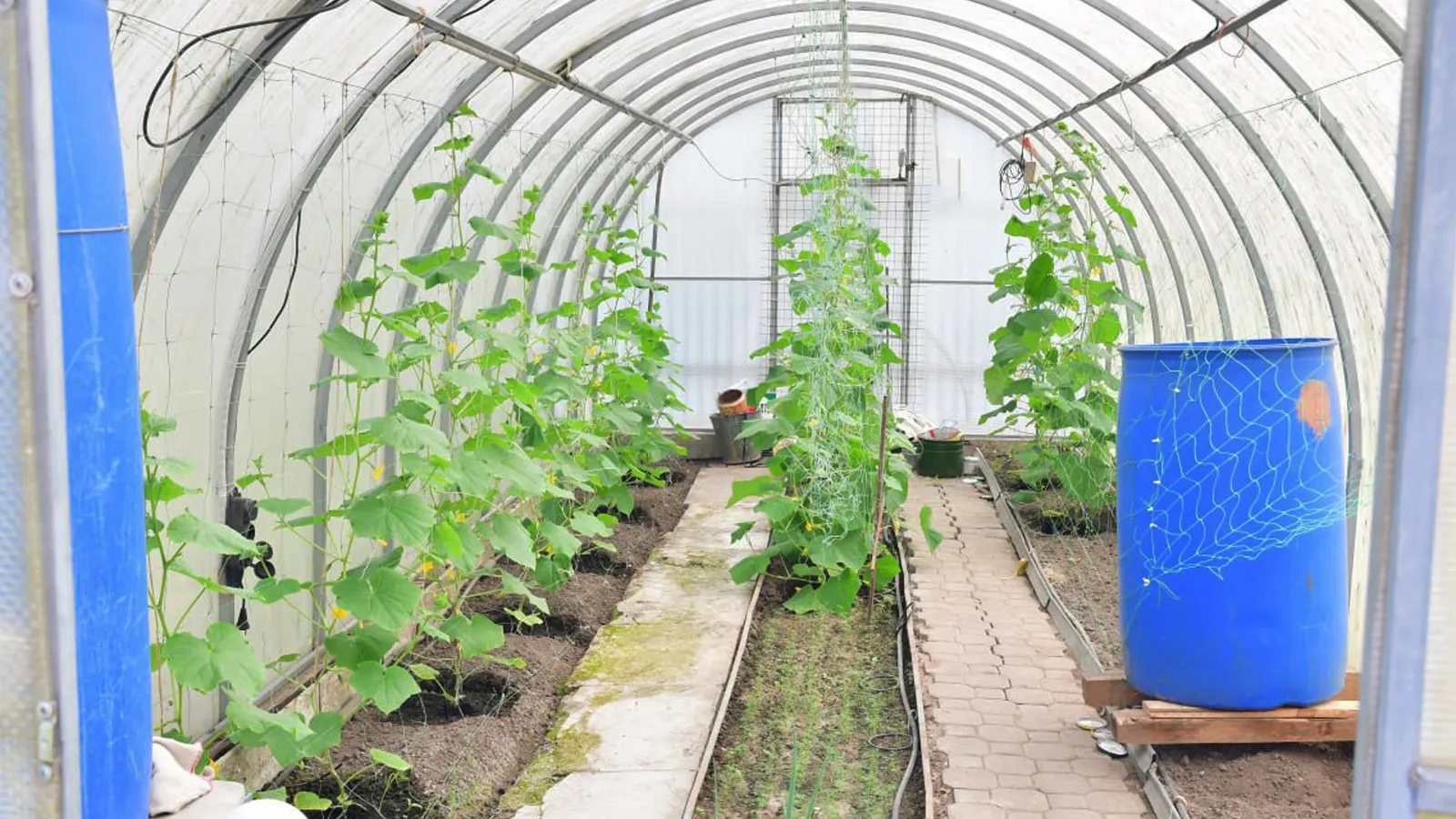 Фото: Наталья Бычкова