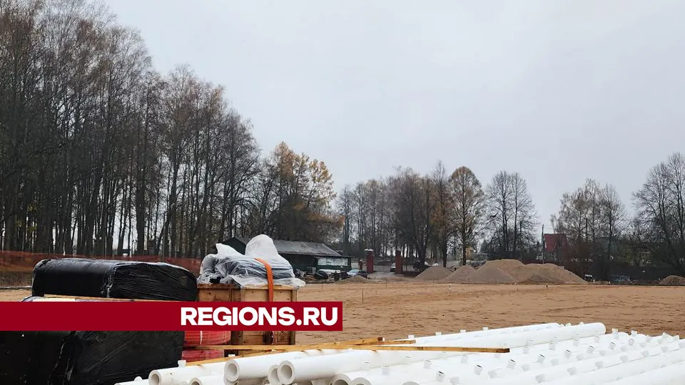 Фото: Дмитрий Беденко