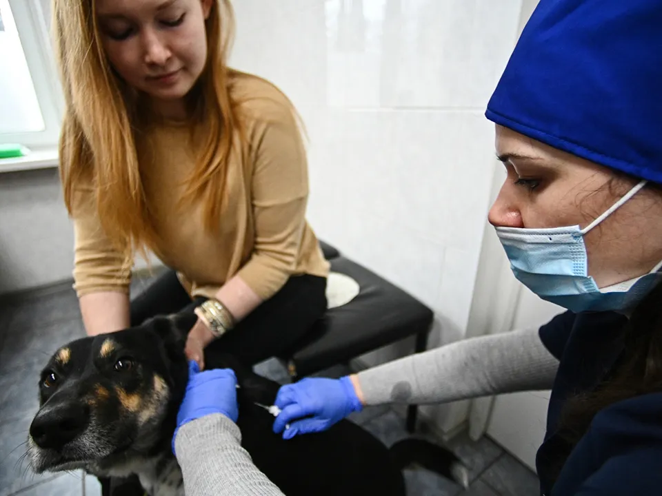 Фото: РИА Новости/Евгений Одиноков