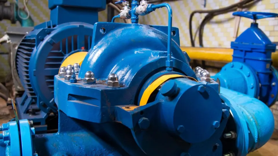 Фото: пресс-служба администрации г.о. Кашира