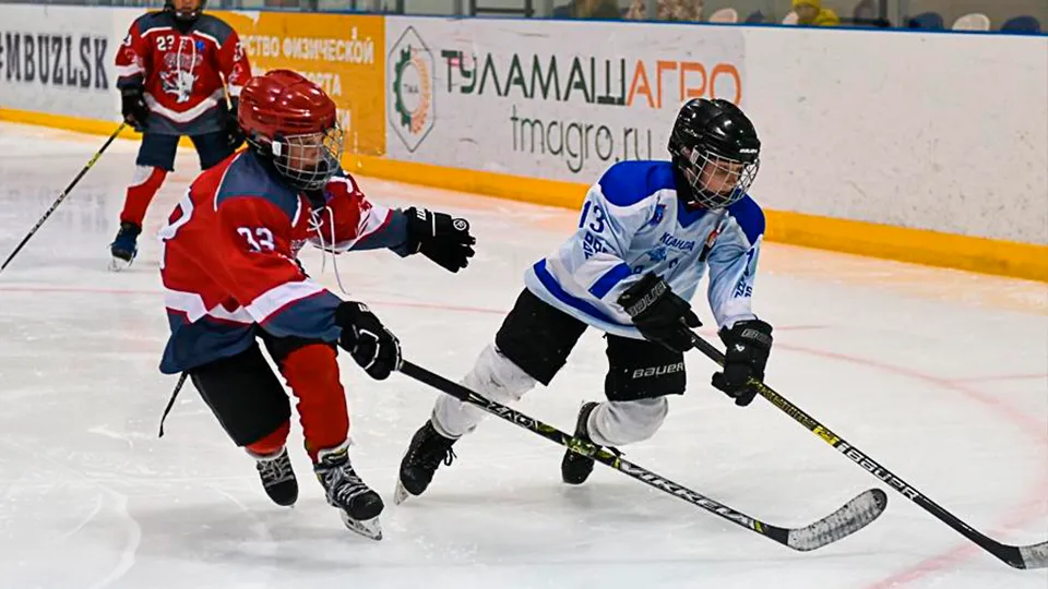 Фото: vk.com/Зарайский ледовый спортивный комплекс