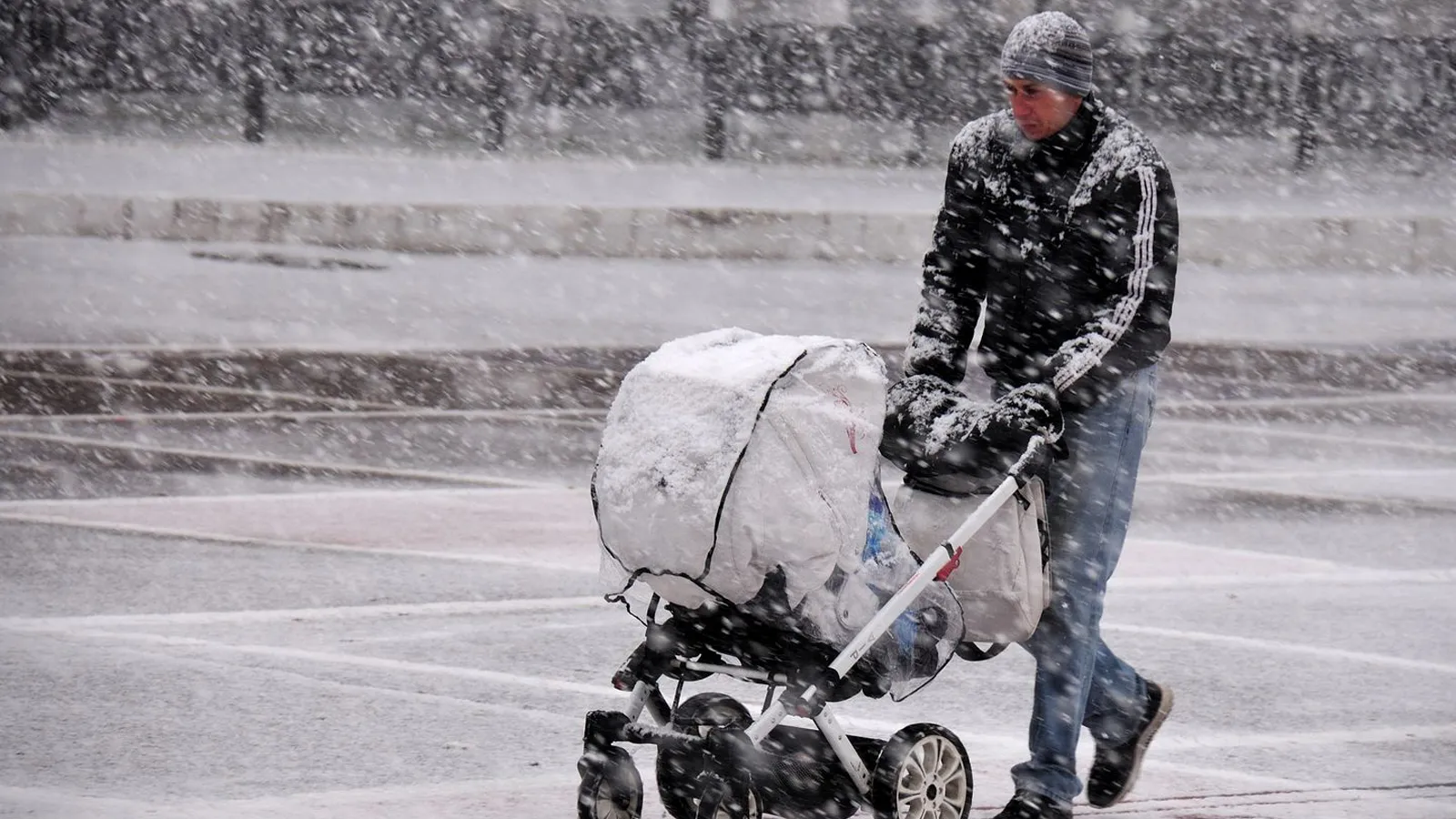 Фото: медиасток.рф