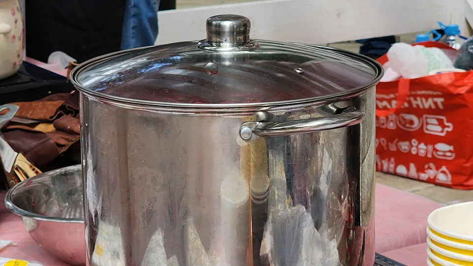 Фото: МедиаБанк Подмосковья/Хавива Фонина