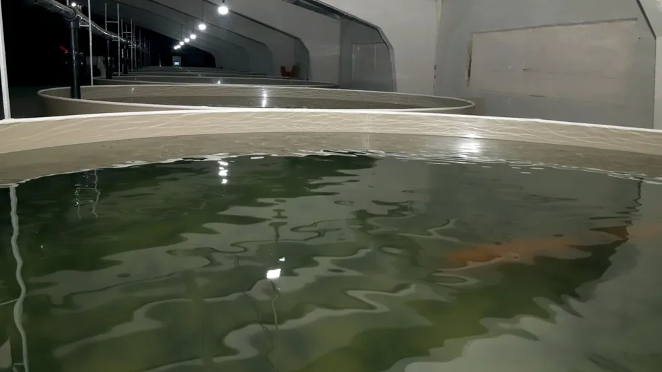 Фото: Министерство сельского хозяйства и продовольствия МО