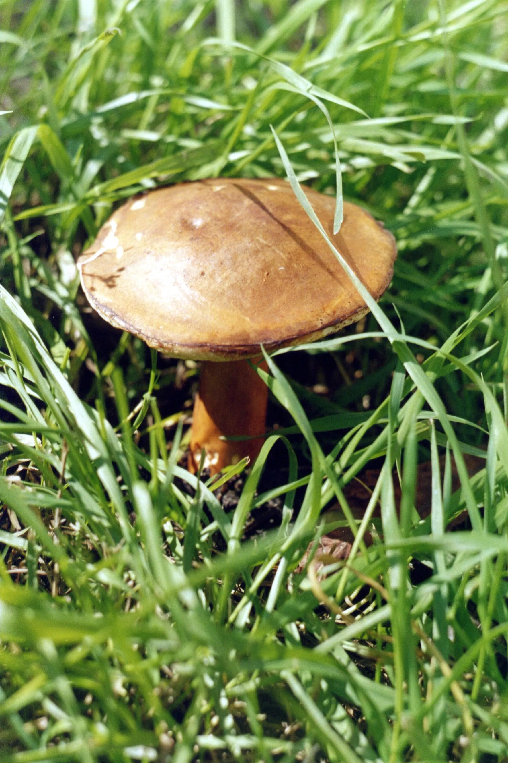 Министерство экологии и природопользования Московской области