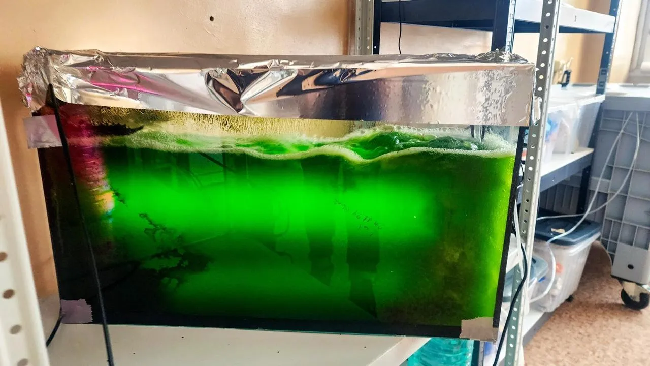 REGIONS/Мария Панина