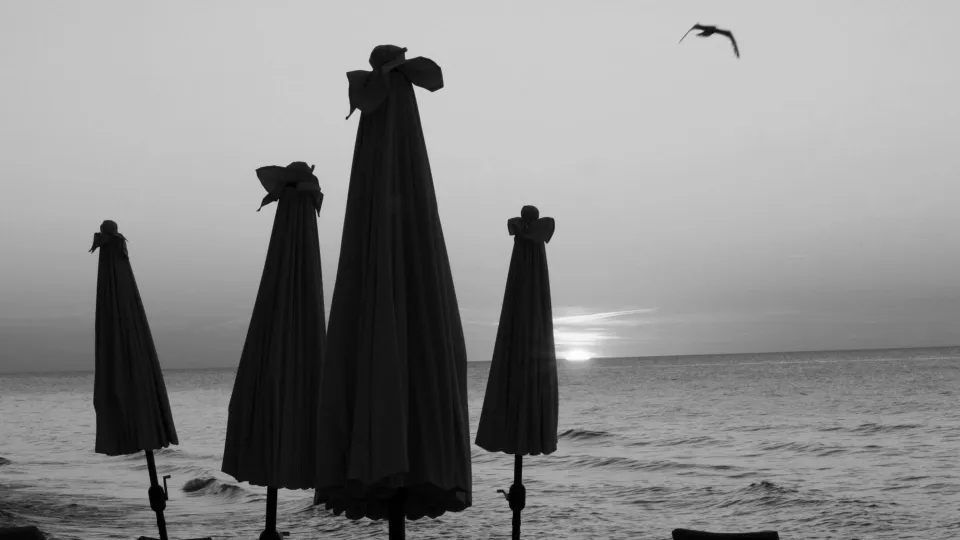 Фото: Коломенская картинная галерея «Дом Озерова»