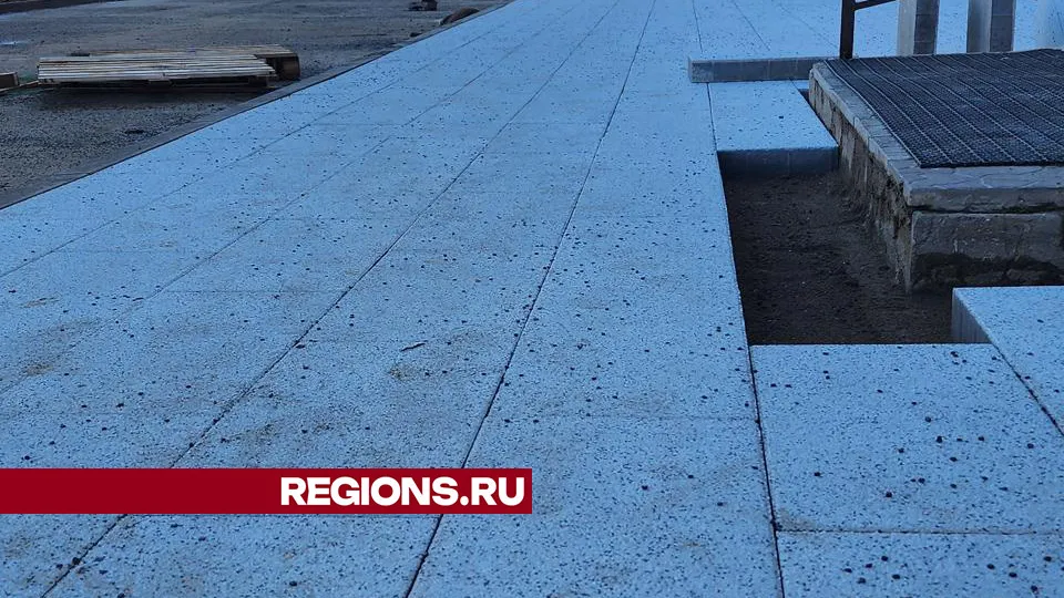 Фото: Дмитрий Беденко