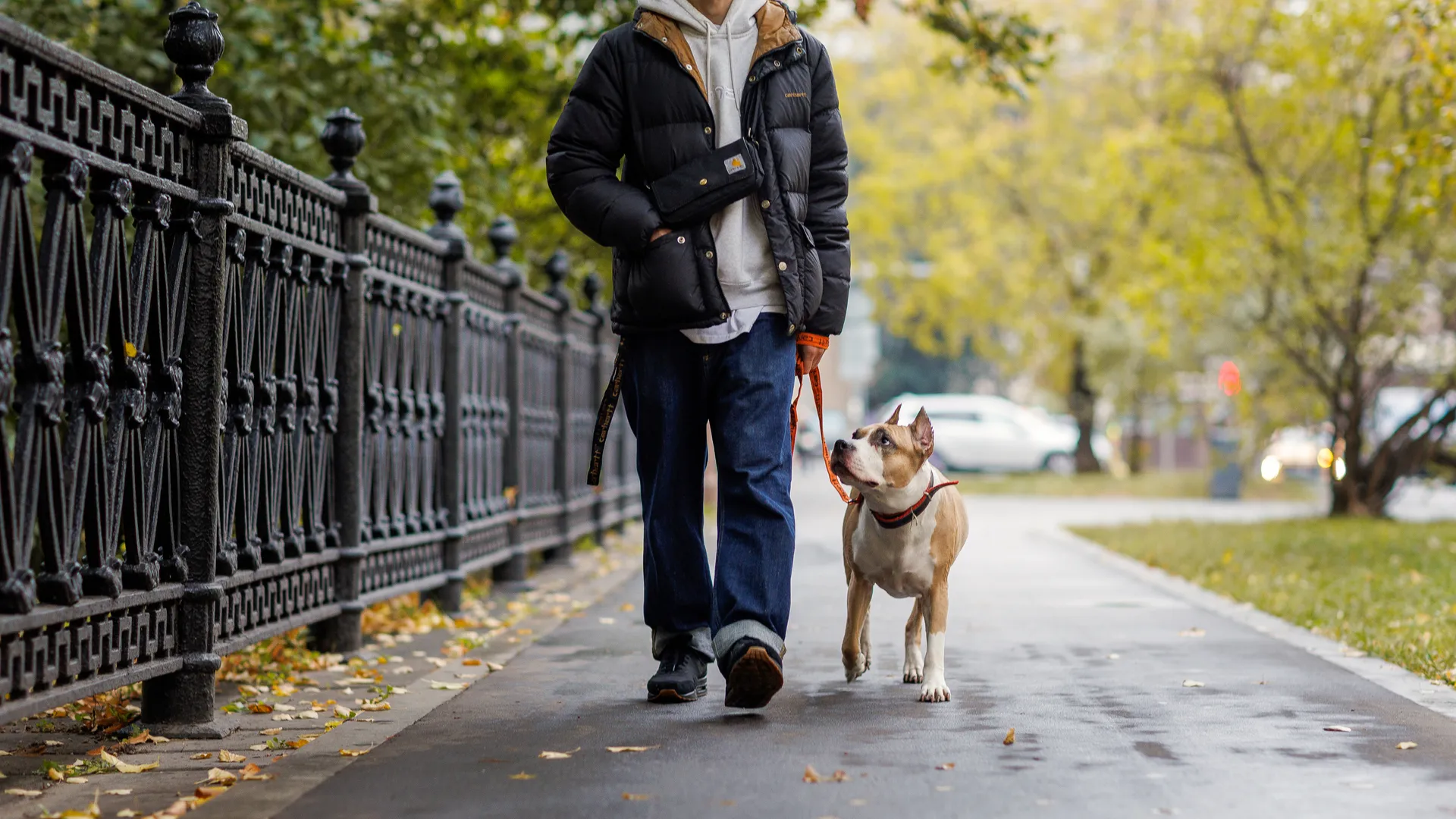 Эксперт объяснила, как правильно стирать джинсы, чтобы они не потеряли цвет