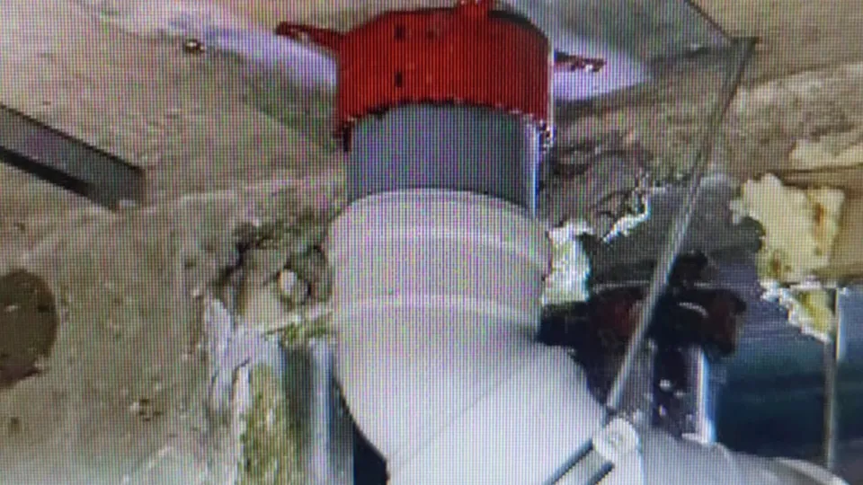 Фото: администрация городского округа Люберцы