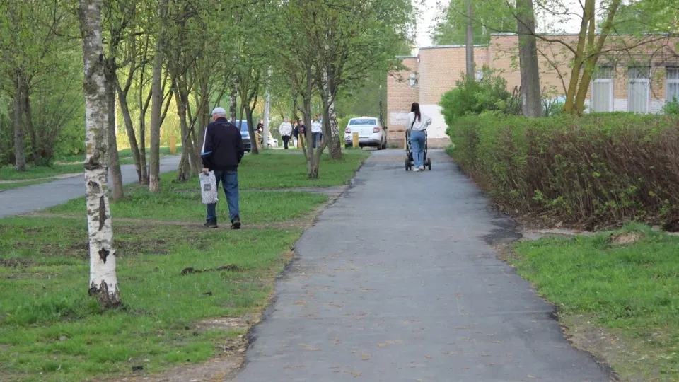 Фото: REGIONS/Василий Тремасов