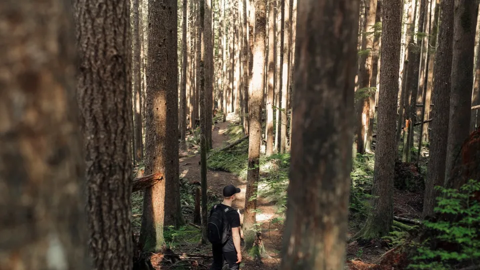 Фото: freepik.com