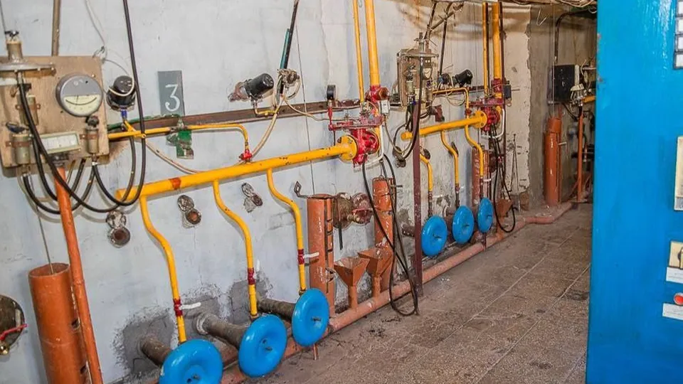 Фото: пресс-служба администрации Одинцовского городского округа