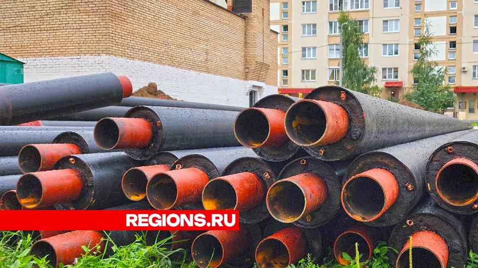 Фото: Валерия Тингаева