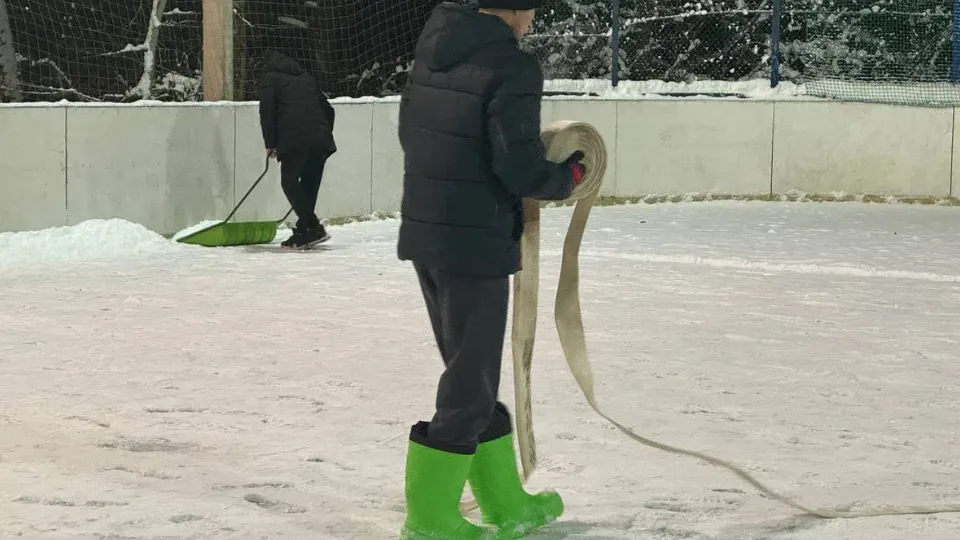 Фото: пресс-служба администрации г. о. Красногорск