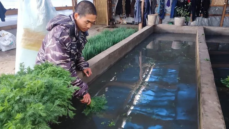 Фото: МУ МВД России «Серпуховское»