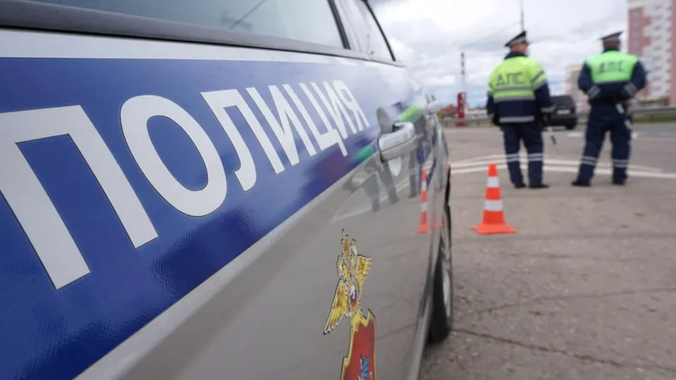 Фото: пресс-служба ОМВД России по Рузскому городскому округу