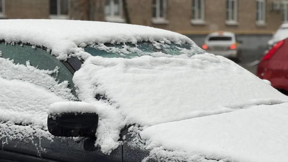 REGIONS/Полина Крачун