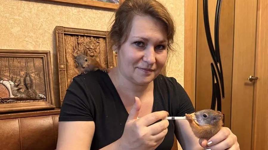 МедиаБанк Подмосковья
