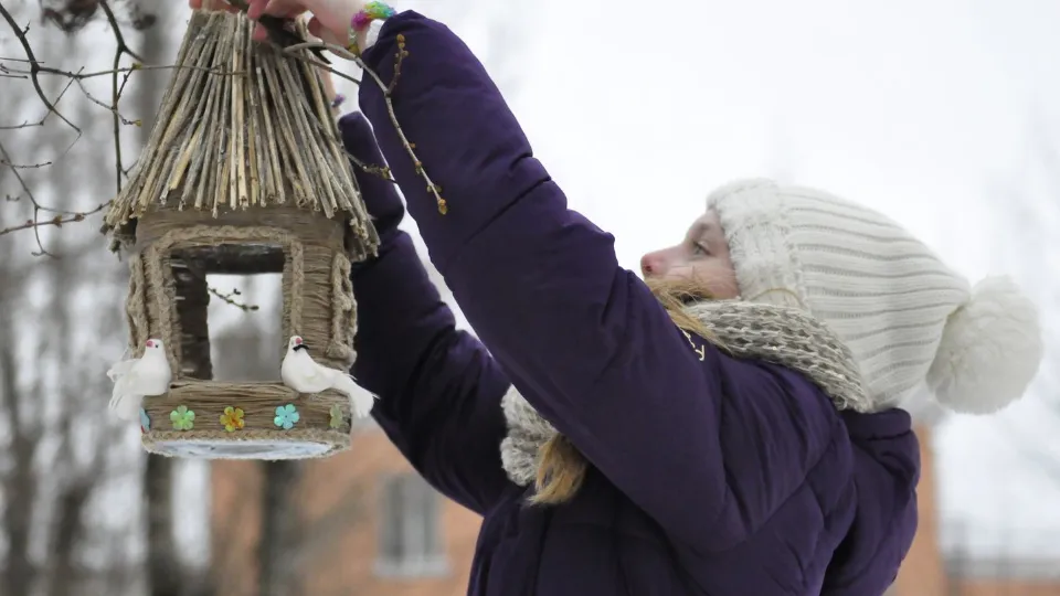 Фото: медиасток.рф