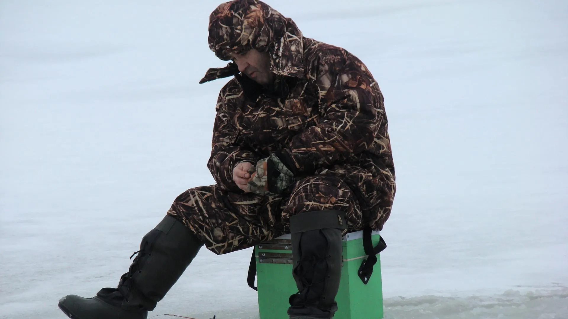 Фото: pxhere.com