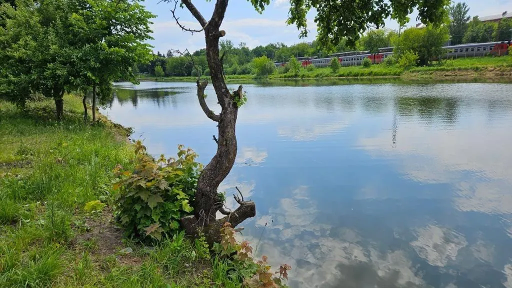 Фото Минэкологии