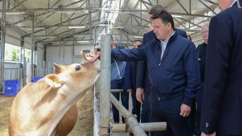  Павел Попов / Подмосковье сегодня