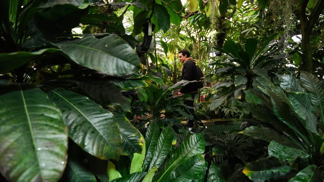 медиасток.рф