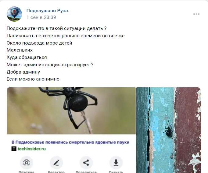 Фото: Подслушано Руза. / Вконтакте