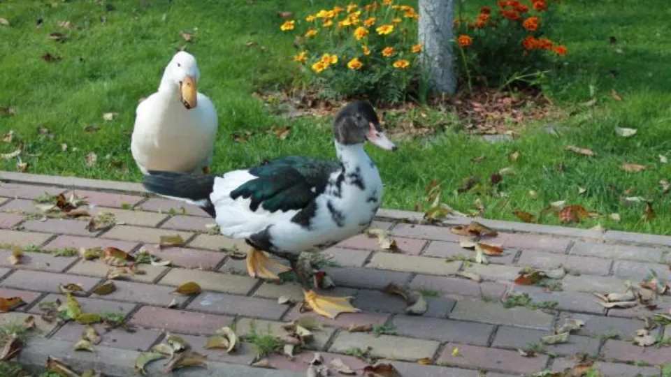 Фото: REGIONS/Илья Попов