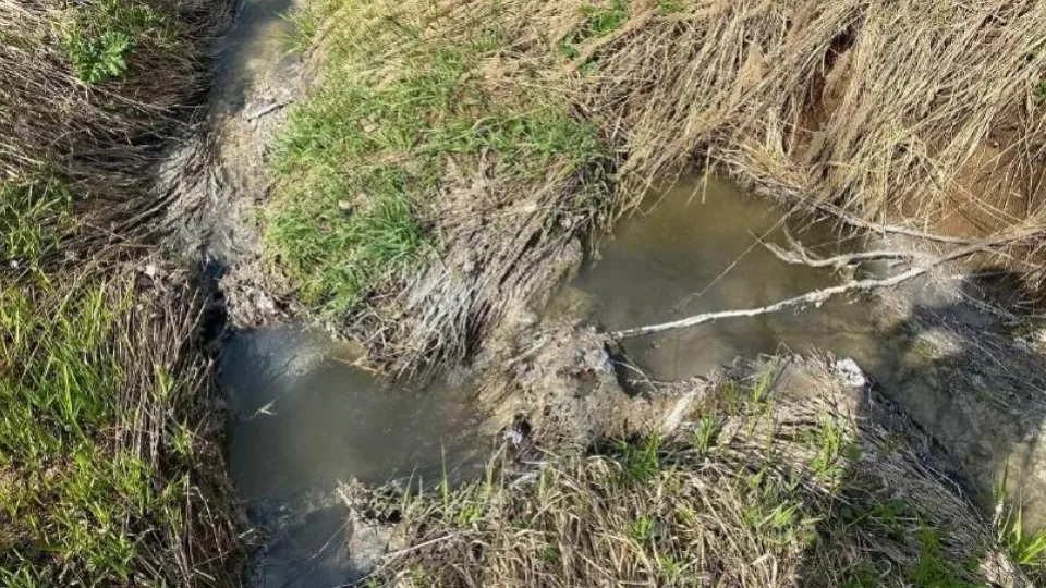 Фото: Министерство экологии и природопользования Московской области