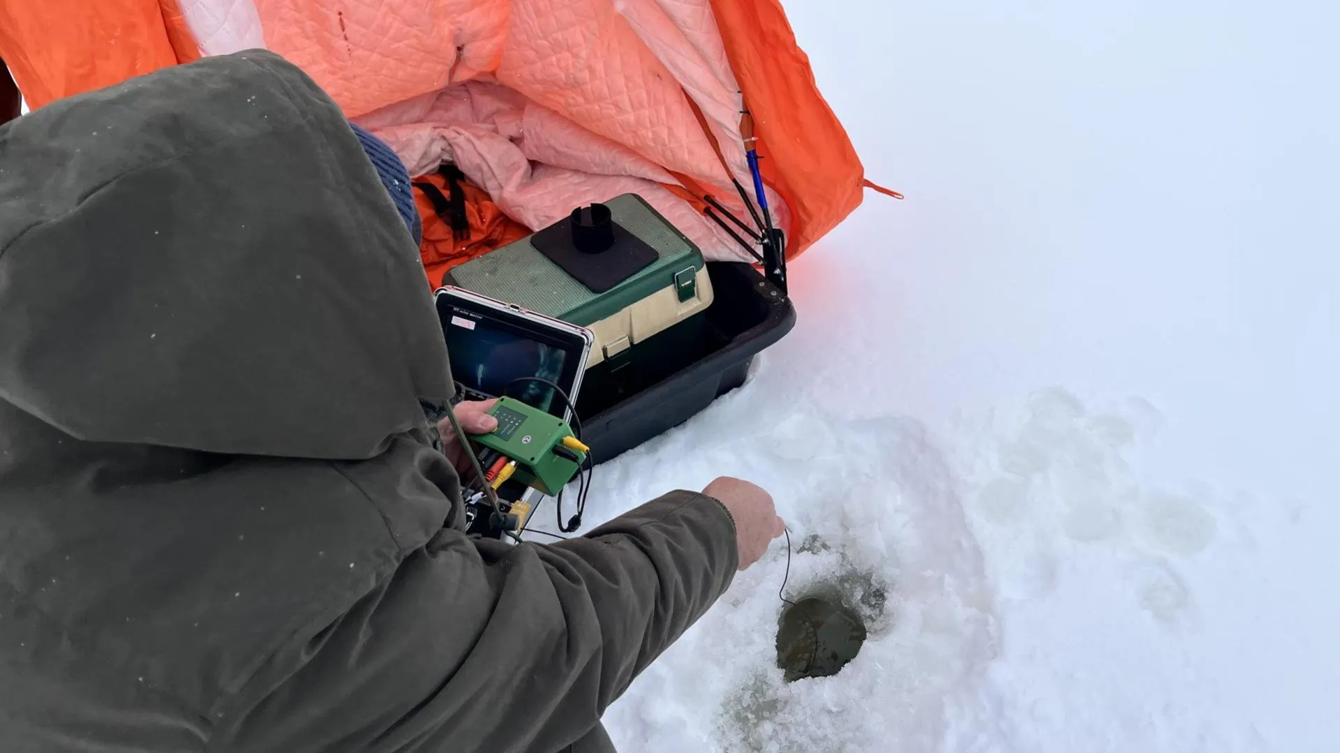 МедиаБанк Подмосковья/Ангелина Стельмух
