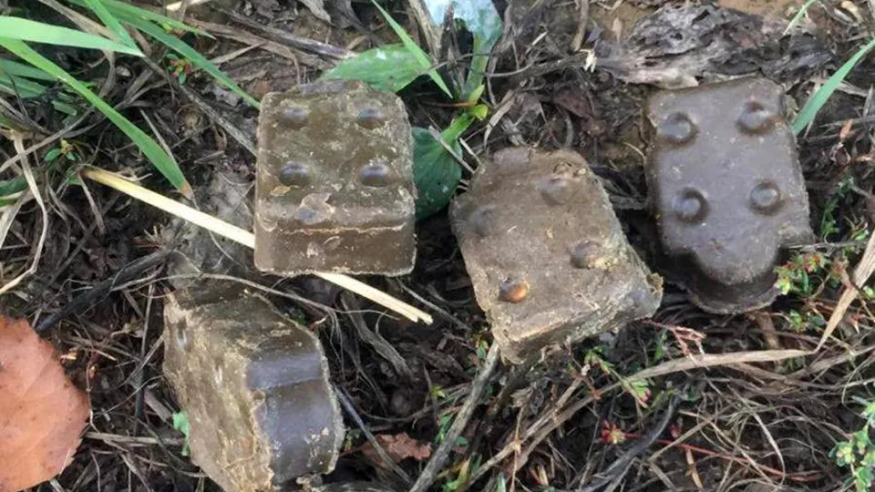 Фото: пресс-служба администрации г.о. Серпухов