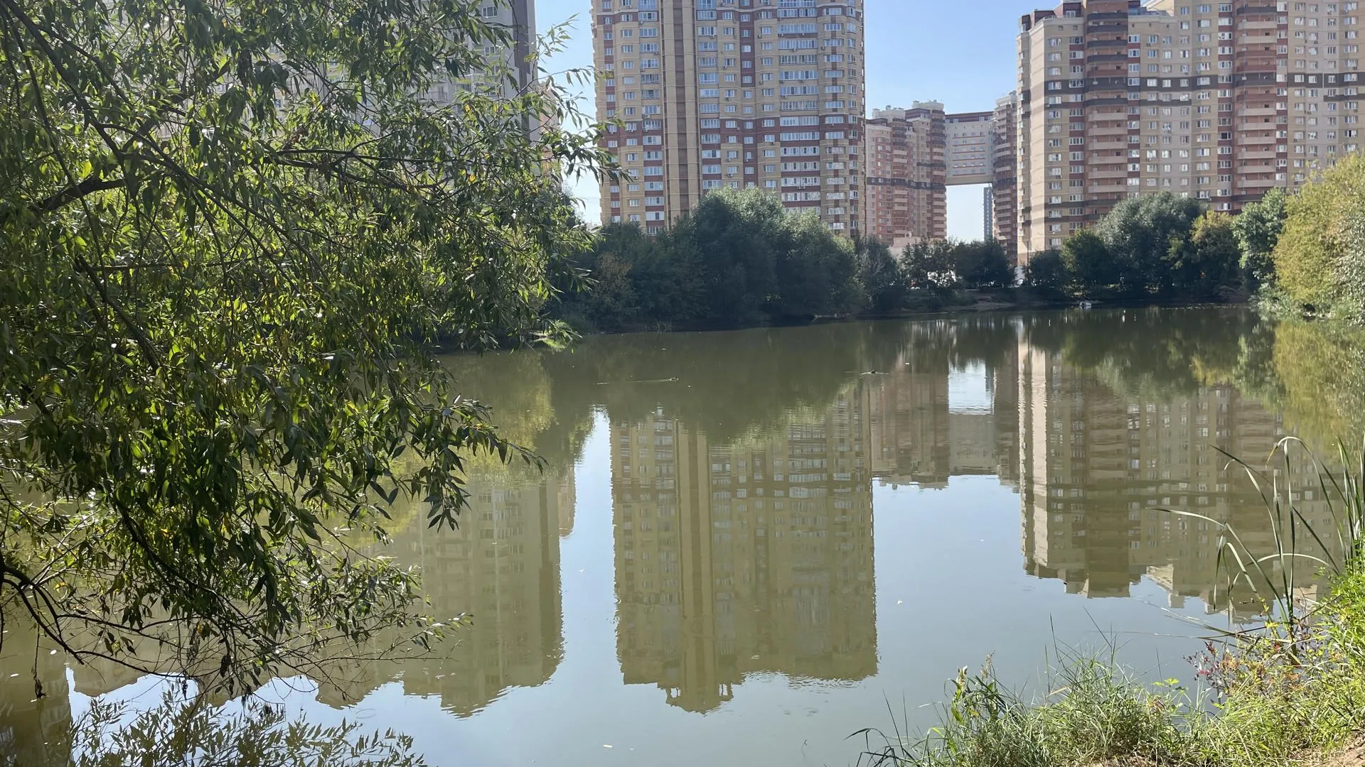 Рамазанов Роман