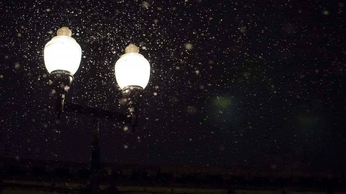 Фото: pxhere.com